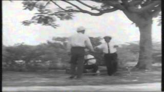 Download lagu Kedi mp3 Download lagu Kedi mp3