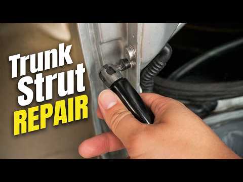 How to Replace Trunk Struts