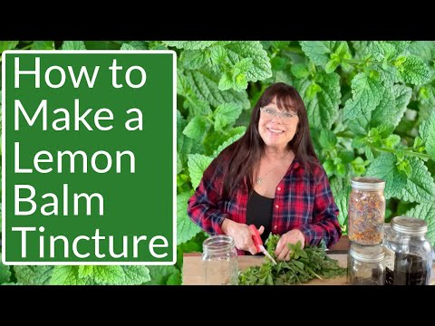 How to Make a Lemon Balm Tincture