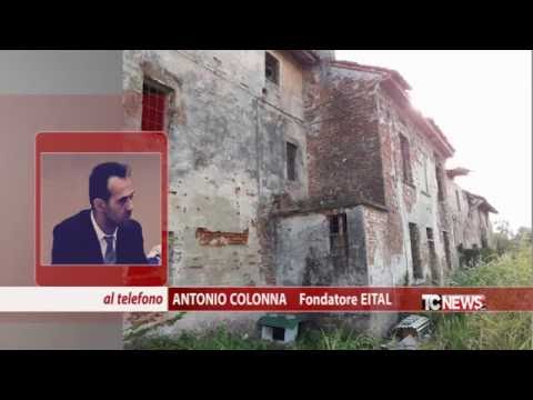 Report to the Pieve d'Olmi (CR) Kennel