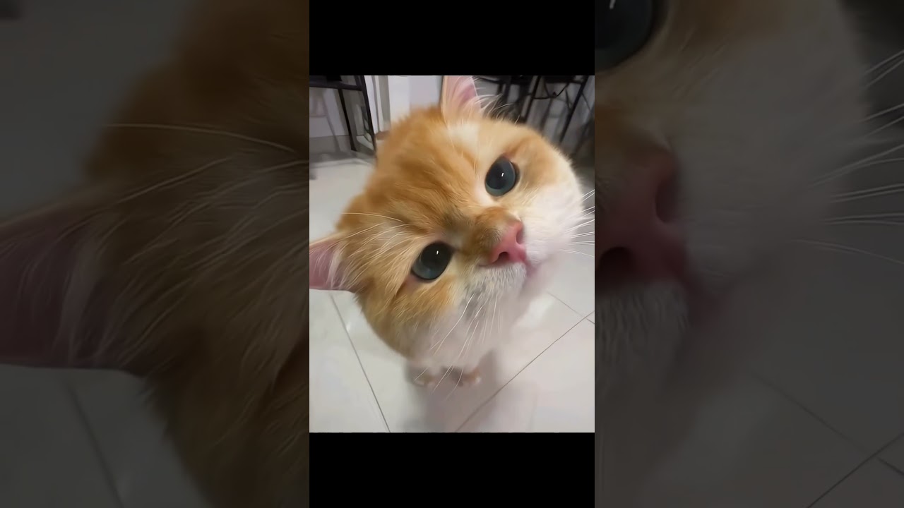Kể ra mình cũng cute phết