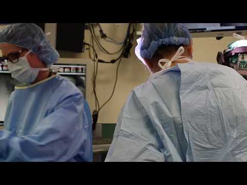 Trauma Awareness: Level One Trauma at Denver Health