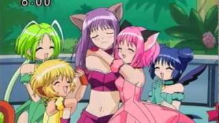 Mew mew power-Team up