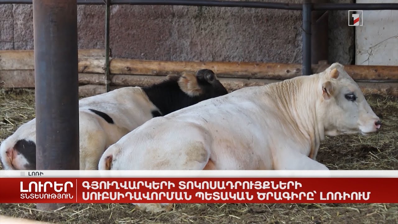 Գյուղվարկերի տոկոսադրույքների սուբսիդավորման պետական ծրագիրը՝ Լոռիում