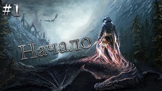 НАЧАЛО Skyrim Прохождение на русском #1