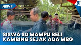 BERKAH MBG, Siswa SD Bisa Beli Kambing setelah ada Program Prabowo, Langsung Disambangi Pejabat