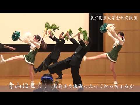 全学応援団「青山ほとり」