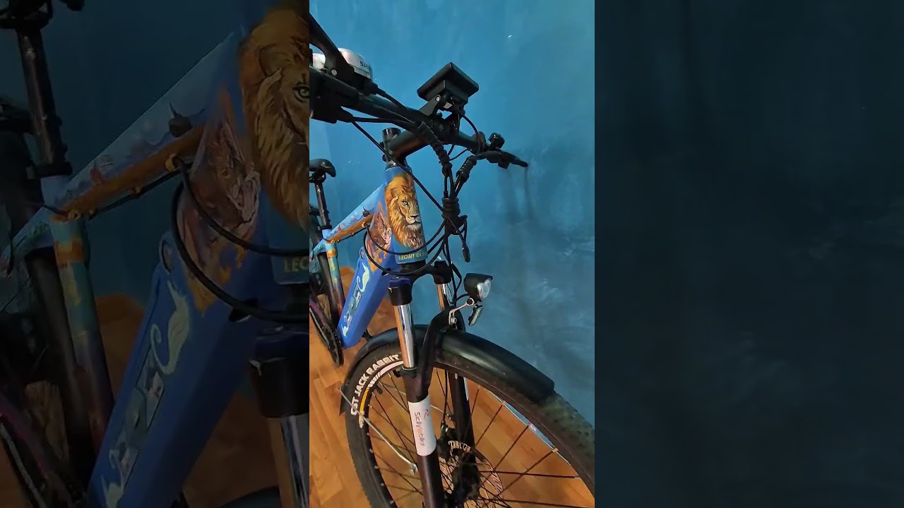 The Lions of Sicily - E-City Bikes (167 - 174 cm)