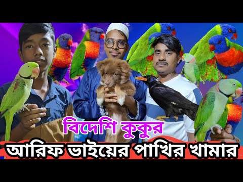 আরিফ ভাইয়ের পাখির খামার | কথা বলা টিয়া পাখি | Dog Price in Bangladesh | Talking Parrot | Moyna Pakhi