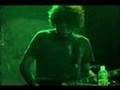 The Sound of Animals Fighting - Act I Chasing Suns