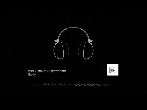 feel beat х sftprod.  birdy