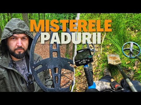 Misterele pădurii: ploaie, noroi și comori uitate de vreme