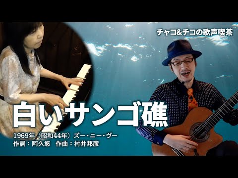白いサンゴ礁