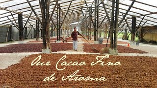 From Plantations to Collection Center