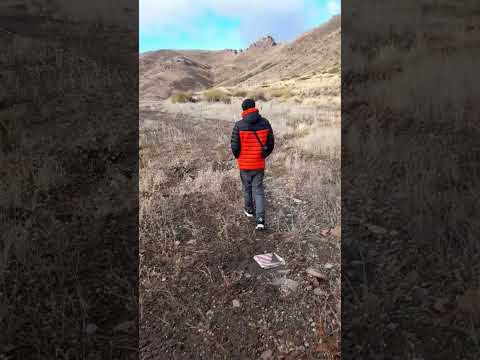 Cacería de guanacos en Neuquén                 #bariloche #neuquén #patagonia #videos  #viralvideo