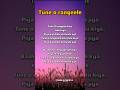 Tune O Rangeele Song Lyrics Viral Tranding Son G Lyric S