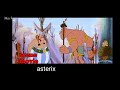 Asterix Movie All Compilation Mas Kae Movie 27