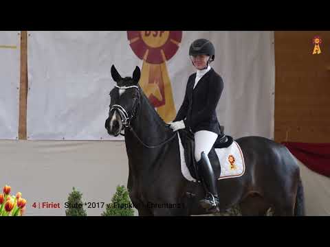 Lot 4: Firiet - Stute v. Franklin/Ehrentanz I