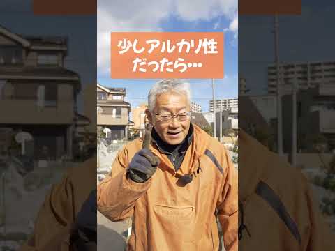 ジャガイモの収穫方法 わらの層を成長させる 危険な野ネズミ