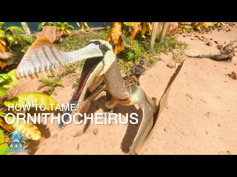Ornithocheirus Taming Guide & abilities in Ark Survival Ascended ll Prehistoric Beasts 2 ASA