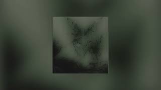 Cover art for Romantic Lover // Sped Up