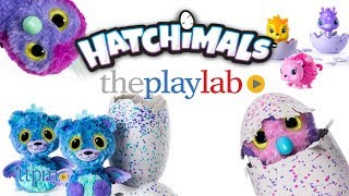 Hatchimals from Spin Master