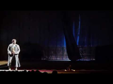 Notte e giorno faticar - Don Giovanni (Leporello), W.A. Mozart - Adolfo Corrado