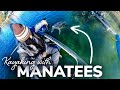 Kayaking With Manatees On Crystal River In Florida