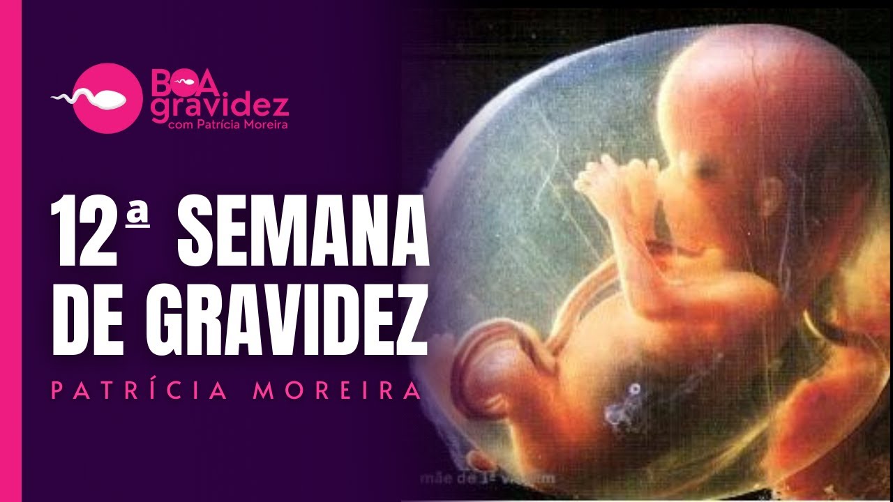 12 SEMANAS DE GRAVIDEZ - Gravidez Semana a Semana
