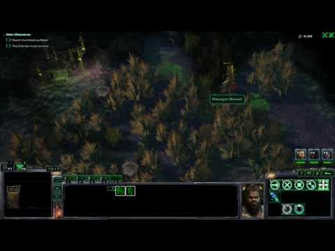 Starcraft 2: The Hammer of Dawn 05 - Stranded