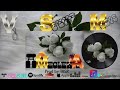 Ameolewa Official Audio V1 Sound Music