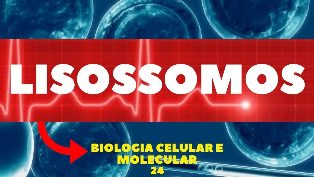 LISOSSOMOS - DIGESTÃO CELULAR (ORGANELAS CITOPLASMÁTICA) - BIOLOGIA CELULAR E MOLECULAR