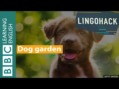 Dog garden: Lingohack