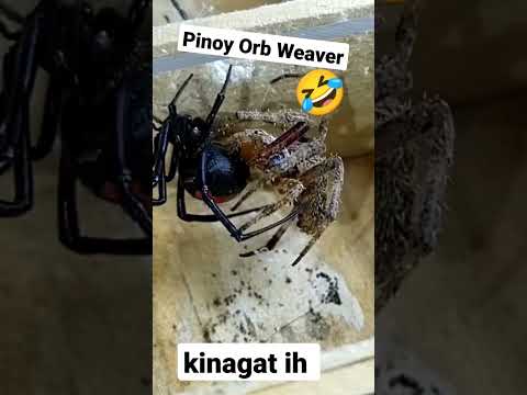 Kinagat eh 🤣
