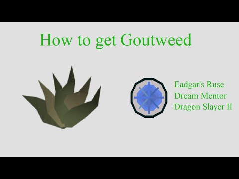 OSRS | How to get Goutweed | DONE EASY WITH MAZE | Quick guide |