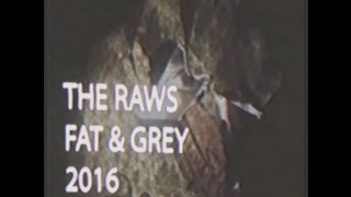 The Raws - FAT & GREY