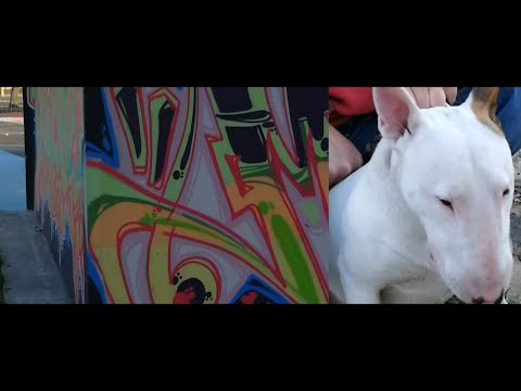 ///Echoué/// - GZK Feat P-Lee / Peter Virag / Miss Freud / Dj Sharekut / Prod & Clip Mr BoOyo