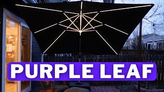 Purple Leaf Umbrella Review | Is it REALLY Worth It?