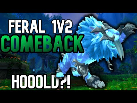 Feral Druid 1v2 Arena COMEBACK | Clutch or Kick