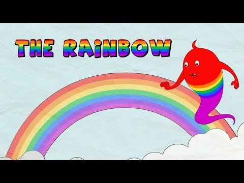 Seperti Ini Proses Terjadinya Pelangi yang Terkadang Muncul Setelah Hujan Seperti Ini Proses Terjadinya Pelangi yang Terkadang Muncul Setelah Hujan