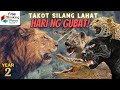 LION Laban sa ibang PREDATORS | Digmaan ng Mabangis na Hayop: Leopard, Hyena, Crocodile & Cheetah