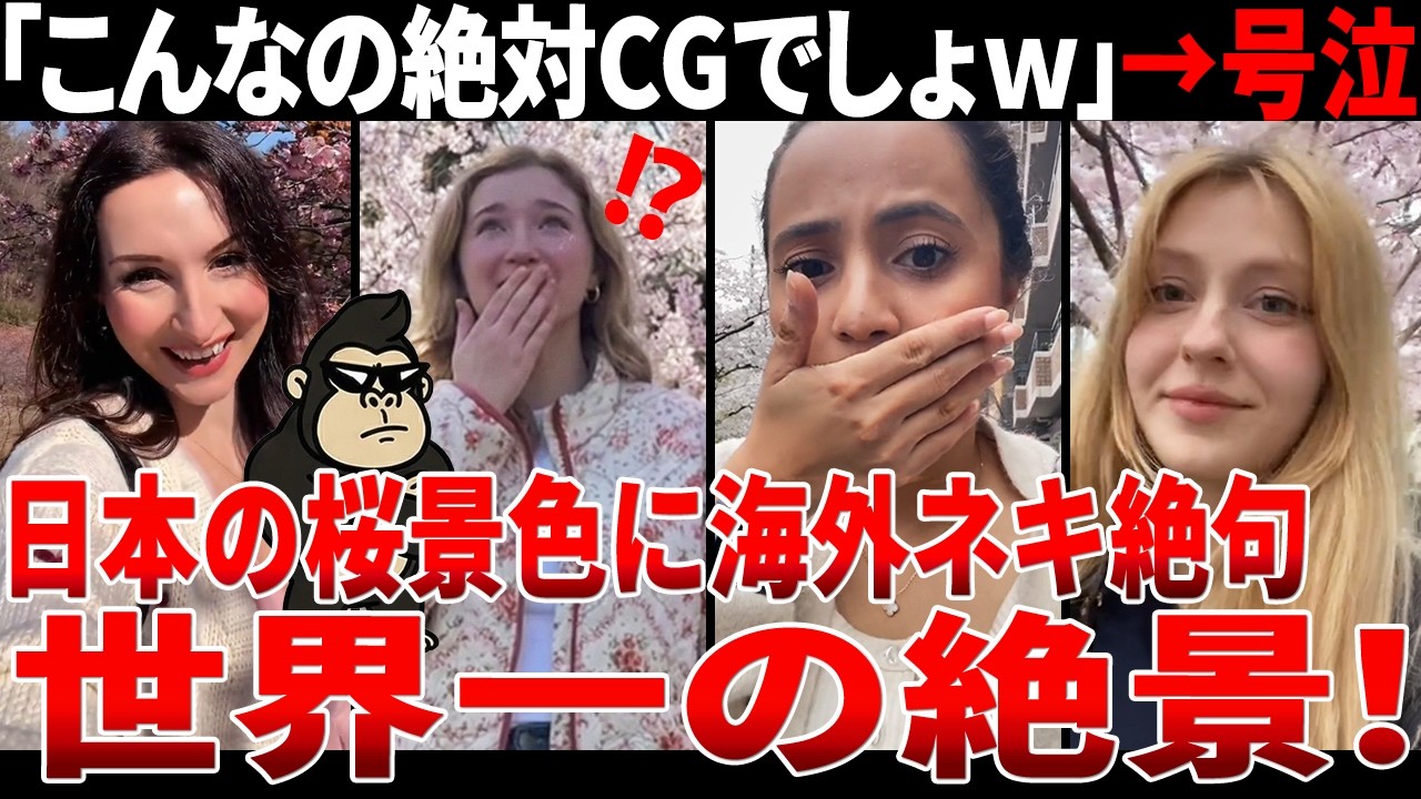 【海外の反応】「これ現実なの…？」初めて見る日本の桜に海外ネキ達がガチ号泣してしまうww