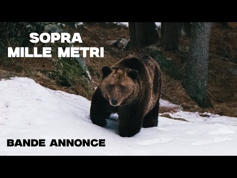 Sopra Mille Metri | Bande-Annonce