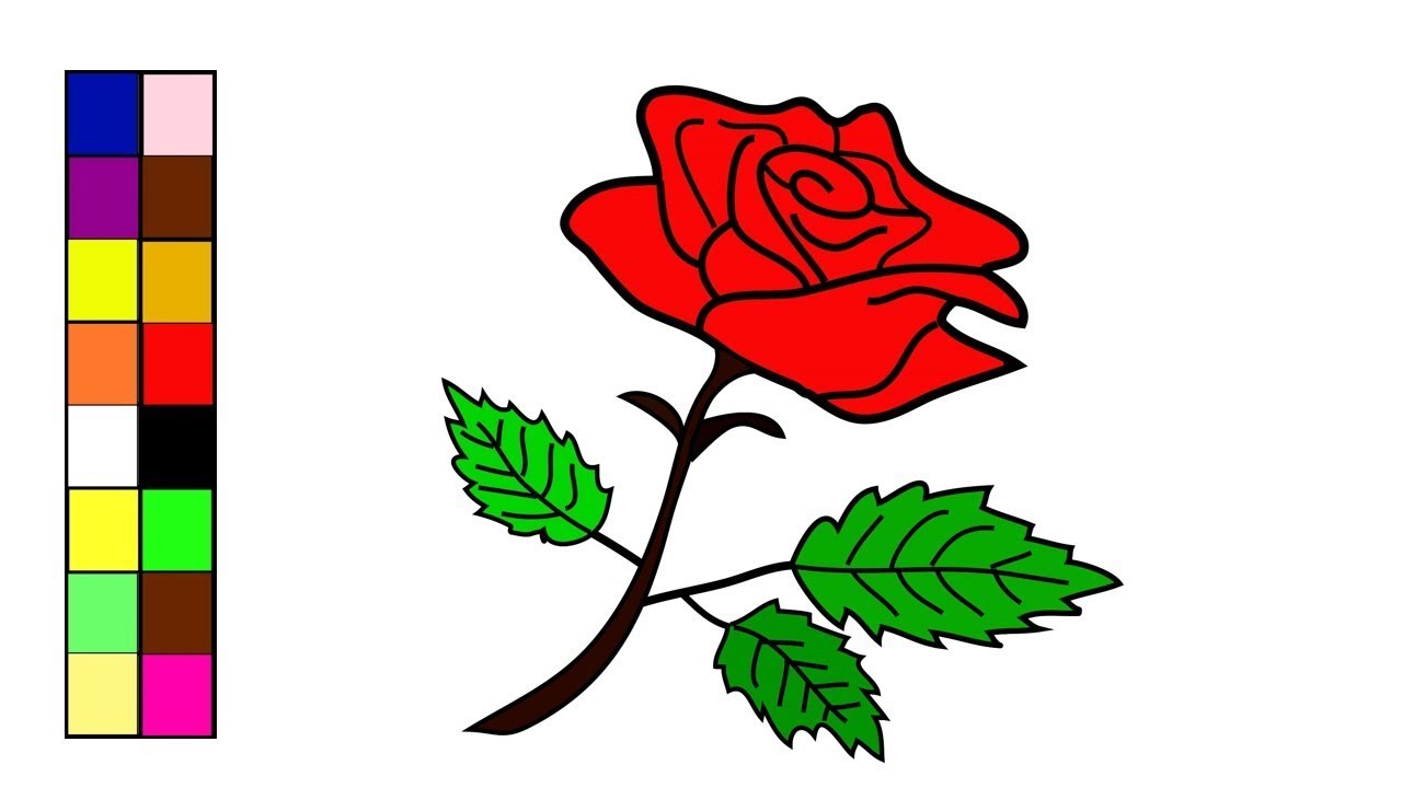 Rose Drawing and Coloring | Flowers Coloring Pages | Coloring Pages for Kids
