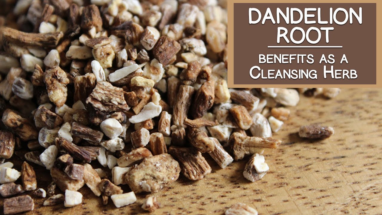 Dandelion Root Benefits as a Cleansing Herb - YouTube