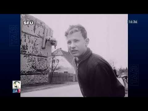 Vzorná obec Všestary