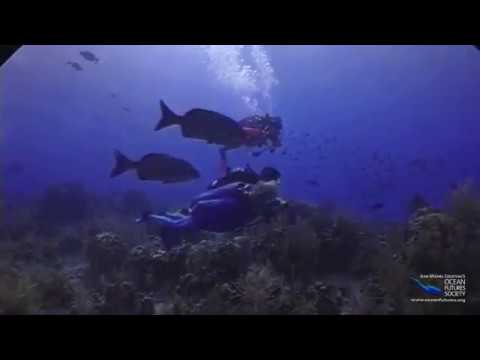 SeaScope 19 - Value of a Fish