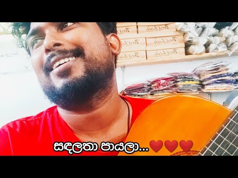 Keerthi Pasquel - Sandalatha Payala cover by Amila Madhushan