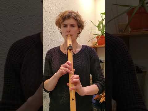 Stellar Hijaz Flute | Middle Eastern Tuning Key of A | Douglas Fir