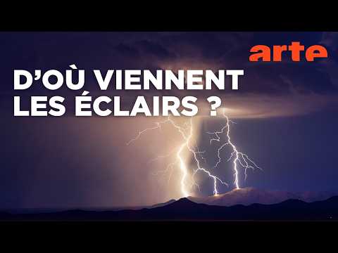 À la poursuite du coup de foudre | Le grand show de la nature | ARTE